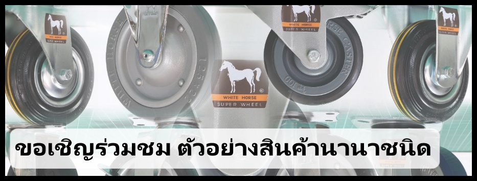 ขอเชิญผู้สนใจ ชมตัวอย่างสินค้า