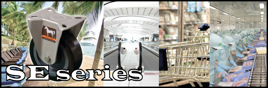 SE series selection